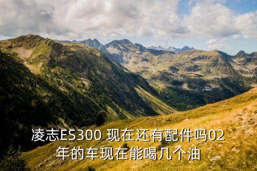 凌志ES300 现在还有配件吗02年的车现在能喝几个油