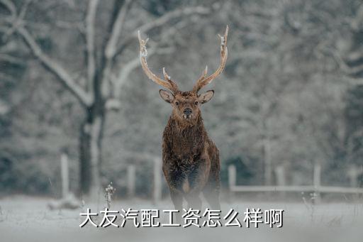 大友汽配工资怎么样啊