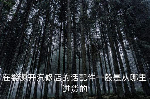 在婺源开汽修店的话配件一般是从哪里进货的