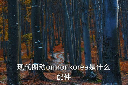 现代朗动omronkorea是什么配件