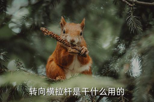 转向横拉杆是干什么用的