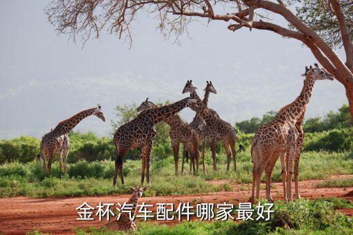 金杯汽车配件哪家最好