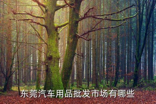 东莞汽车用品批发市场有哪些
