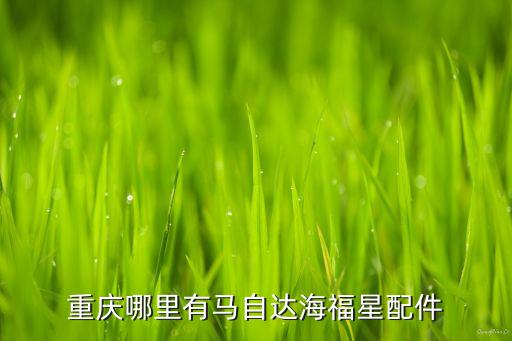 重庆老顶坡汽车配件，重庆老顶坡微车汽配市场有那些