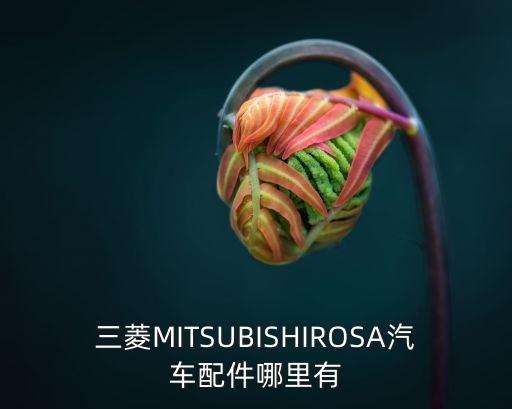 三菱MITSUBISHIROSA汽车配件哪里有