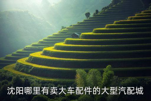 沈阳塔湾汽配城配件库，沈阳哪里有卖大车配件的大型汽配城
