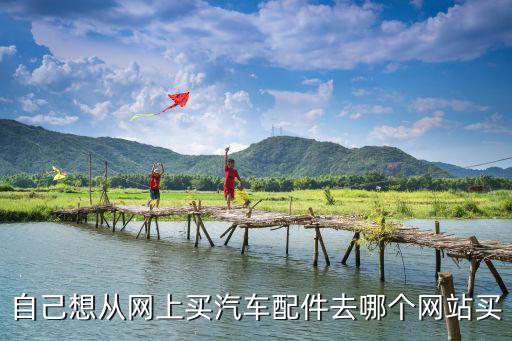 二手汽车配件网上在哪里买，自己想从网上买汽车配件去哪个网站买