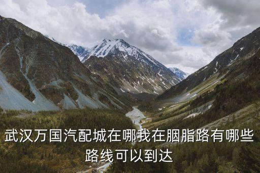古田二路万国汽配城，武汉万国汽配城在哪我在胭脂路有哪些路线可以到达