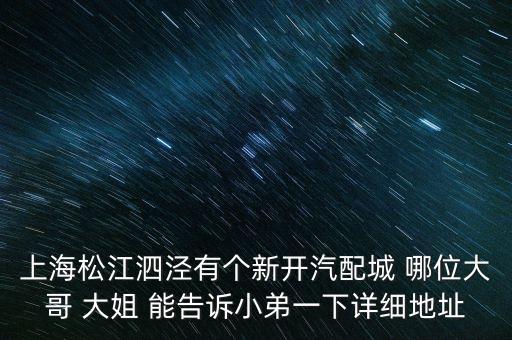 上海松江泗泾有个新开汽配城 哪位大哥 大姐 能告诉小弟一下详细地址