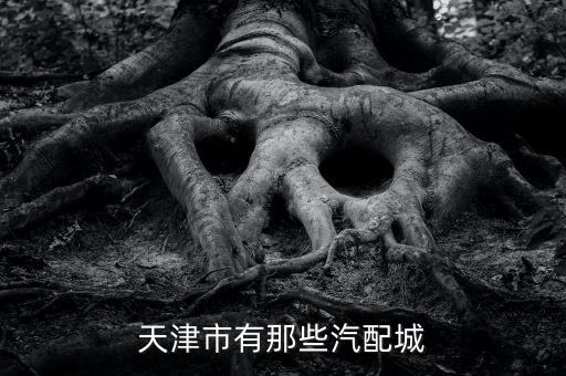 天津市有那些汽配城