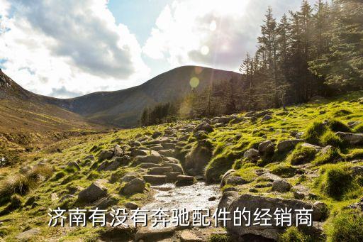 济南有没有奔驰配件的经销商