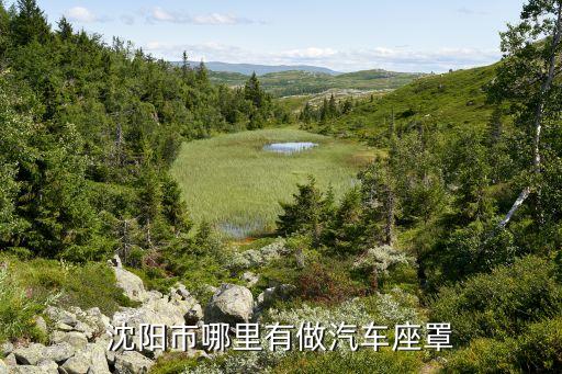 沈阳市哪里有做汽车座罩