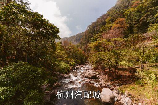 杭州汽配城