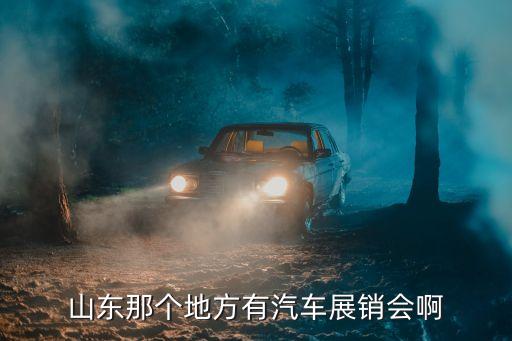 山东那个地方有汽车展销会啊
