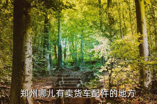 郑州哪儿有卖货车配件的地方