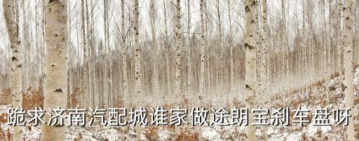 跪求济南汽配城谁家做途朗宝刹车盘呀