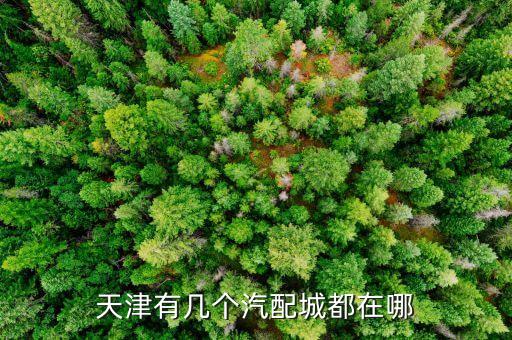 天津有几个汽配城都在哪
