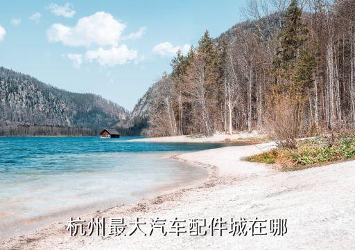 杭州最大汽车配件城在哪