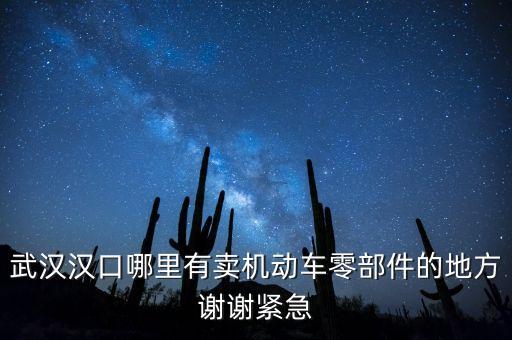 武汉汉口哪里有卖机动车零部件的地方谢谢紧急