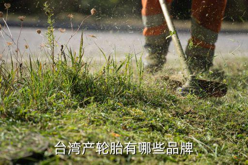 台湾产轮胎有哪些品牌