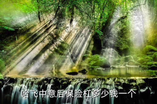 哈飞中意后保险杠多少钱一个