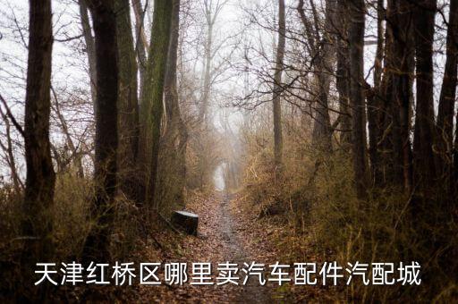 环渤海汽配城店面转让，天津卖车饰风火轮的
