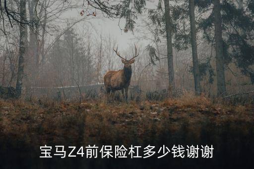 宝马Z4前保险杠多少钱谢谢