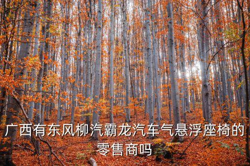广西有东风柳汽霸龙汽车气悬浮座椅的零售商吗