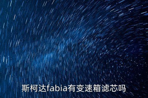 斯柯达fabia有变速箱滤芯吗