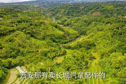 西安那有卖长城汽车配件的