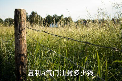 夏利a气门油封多少钱