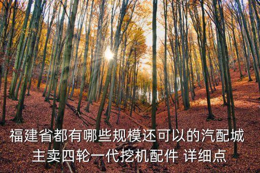 福建省都有哪些规模还可以的汽配城 主卖四轮一代挖机配件 详细点