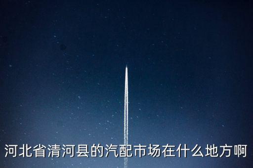 河北省清河县的汽配市场在什么地方啊