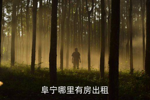 阜宁哪里有房出租