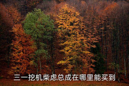 三一挖机柴虑总成在哪里能买到