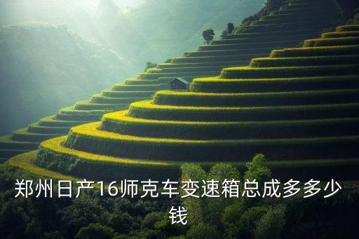 郑州日产16师克车变速箱总成多多少钱