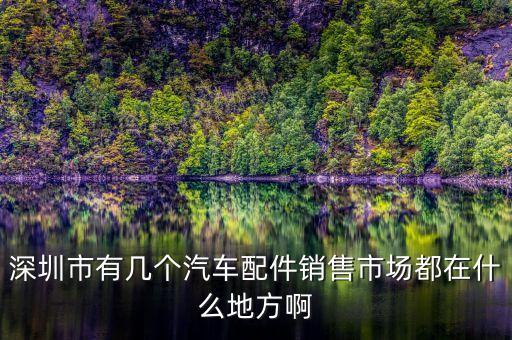 深圳重型车配件汽配城，深圳市有几个汽车配件销售市场都在什么地方啊