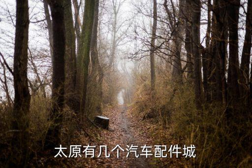 太原有几个汽车配件城