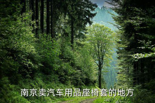 南京卖汽车用品座椅套的地方