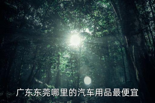 东莞汽配城便宜吗，东莞汽车用品在哪里有批发市场