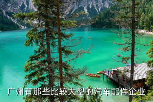 广州的汽车配件，广州有那些比较大型的汽车配件企业
