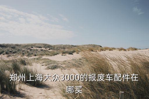 郑州上海大众3000的报废车配件在哪买
