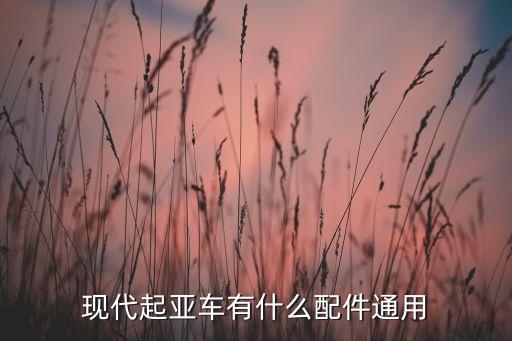现代起亚车有什么配件通用