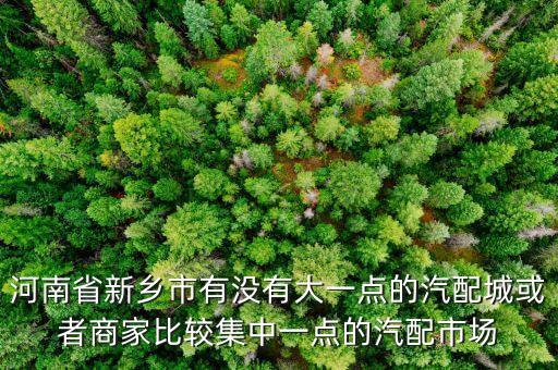 河南省新乡市有没有大一点的汽配城或者商家比较集中一点的汽配市场