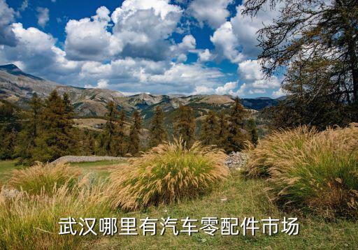 武汉哪里有汽车零配件市场