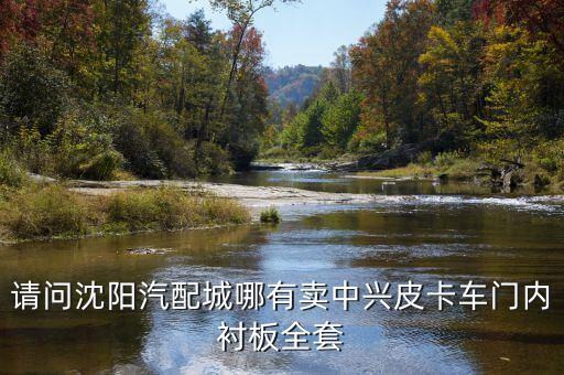 沈阳西部汽配城车罩，请问沈阳汽配城哪有卖中兴皮卡车门内衬板全套