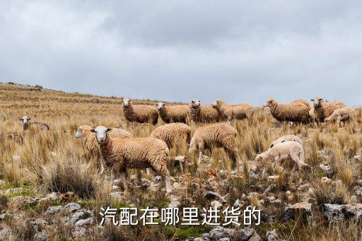 汽配在哪里进货的