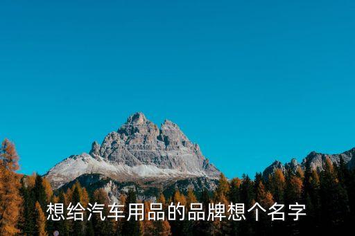 想给汽车用品的品牌想个名字
