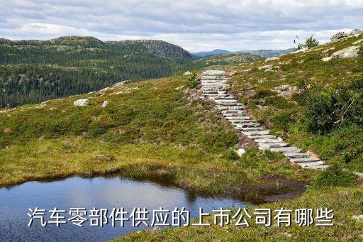 汽车零部件供应的上市公司有哪些