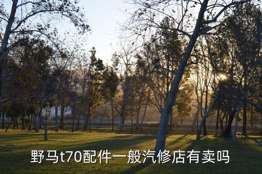 野马t70配件一般汽修店有卖吗